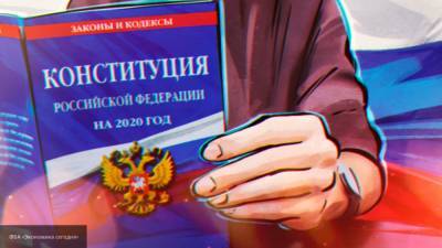 МВД может проверить сообщения о фейковых аккаунтах для голосования по Конституции