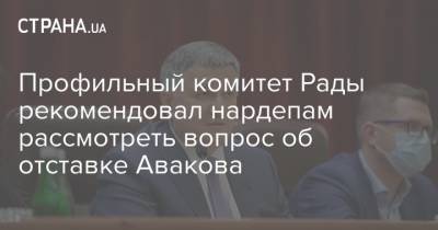 Профильный комитет Рады рекомендовал нардепам рассмотреть вопрос об отставке Авакова
