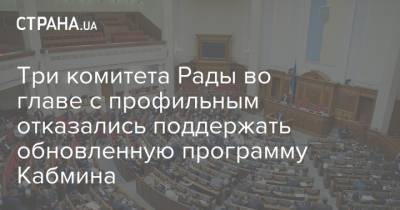 Три комитета Рады во главе с профильным отказались поддержать обновленную программу Кабмина