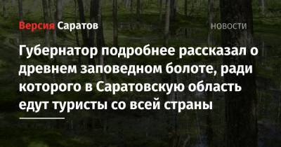 Губернатор подробнее рассказал о древнем заповедном болоте, ради которого в Саратовскую область едут туристы со всей страны