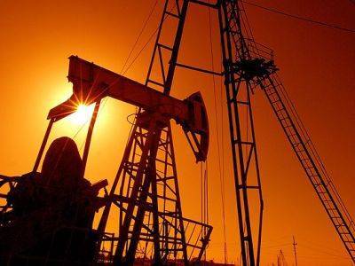 ОПЕК сохранил прогноз падения мирового спроса на нефть