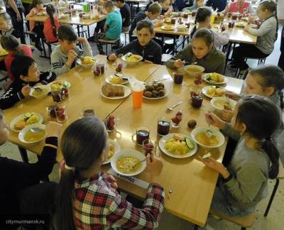 Бесплатное горячее питание с сентября появится в школах Московской области