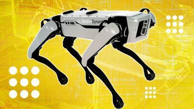 Может ли "робопес" от Boston Dynamics заменить живую собаку, рассказал кинолог