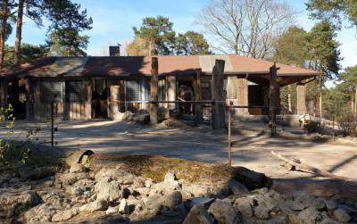 Рижский зоопарк лишился более 420 тысяч евро из-за ЧС. Рига готовится компенсировать