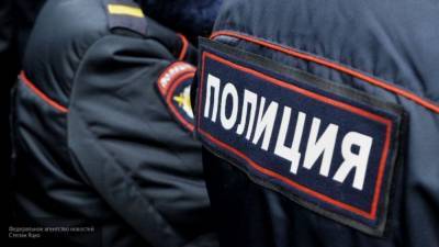 Полиция Москвы проверяет информацию о поддельных аккаунтах для дистанционного голосования
