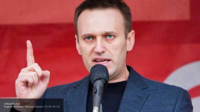 Украинский политолог предложила убежище Навальному после оскорбления ветерана ВОВ