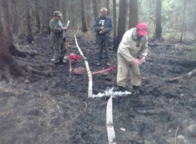 Лесной пожар в Смоленской области ликвидировали
