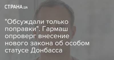 "Обсуждали только поправки". Гармаш опроверг внесение нового закона об особом статусе Донбасса