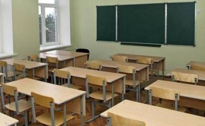 Попова: Российские школьники, скорее всего, вернутся в школы в начале сентября