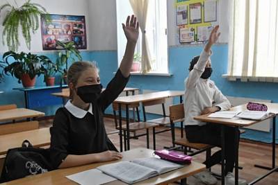 Названы сроки возобновления работы российских школ