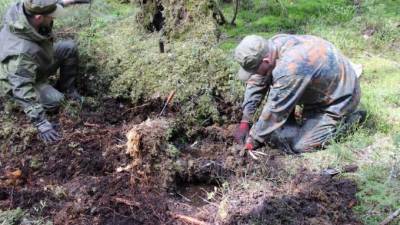 Останки трех красноармейцев обнаружили в Гатчинском районе