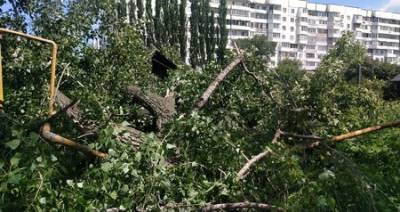 В Уфе порывистый ветер повалил деревья и электроопору