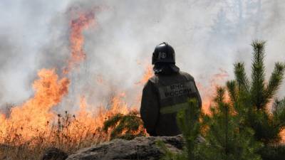 В России за сутки ликвидировали 51 лесной пожар