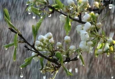 Прогноз погоды на 18 июня: Украину омоют теплые дожди