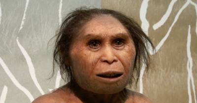 Ученые секвенировали геном неандертальской женщины