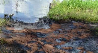 Черные круги по всему берегу: в Рыбинске обнаружили утечку нефти