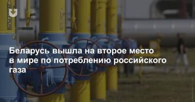 Беларусь вышла на второе место в мире по потреблению российского газа