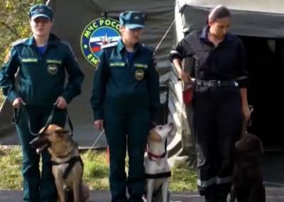Четыре собаки поступят на службу в нижегородское управление МЧС