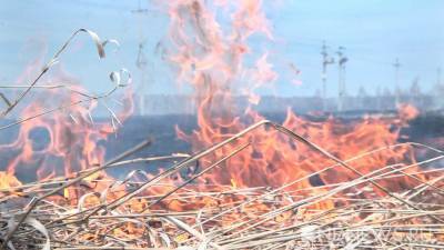 На Камчатке ввели режим ЧС из-за лесных пожаров
