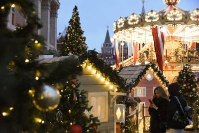 Комитеты Совета Федерации не поддержали сокращение новогодних каникул