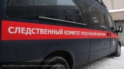 Следователи проверят компанию, предоставляющую услуги такси после ДТП в Саранске