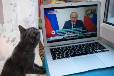 СМИ узнали о намерении Путина обратиться к нации перед голосованием по поправкам