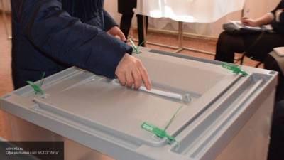 Команды двух кандидатов в президенты Белоруссии сдали необходимое количество подписей