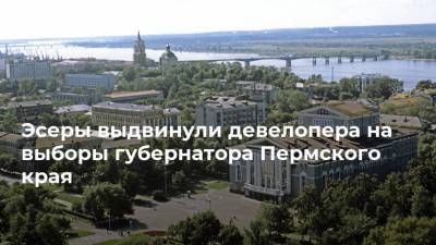Эсеры выдвинули девелопера на выборы губернатора Пермского края
