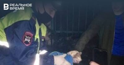 Полицейские в Нижнекамске спасли котенка, лапу которого зажевало в моторном отсеке