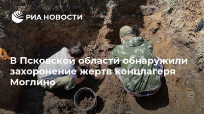 В Псковской области обнаружили захоронение жертв концлагеря Моглино