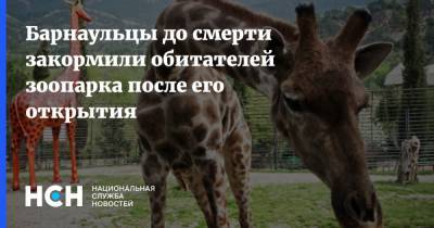 Барнаульцы до смерти закормили обитателей зоопарка после его открытия