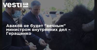 Аваков не будет "вечным" министром внутренних дел – Геращенко