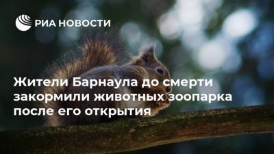 Жители Барнаула до смерти закормили животных зоопарка после его открытия