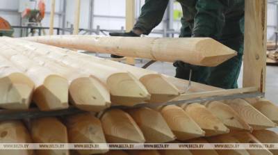Завод газетной бумаги поставит в Швецию 12 деревянных полносборных домов