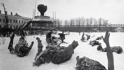 В Новгородской области захоронят более 500 останков жертв фашистов