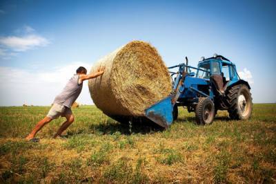 День фермера: Зеленский учредил новый праздник
