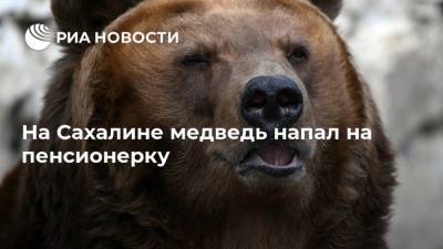 На Сахалине медведь напал на пенсионерку