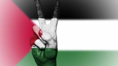 Палестина надеется обсуждение в СБ ООН планов Израиля