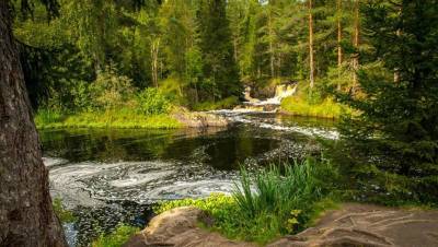 Из Петербурга и Финляндии запустят туристические маршруты в Карелию