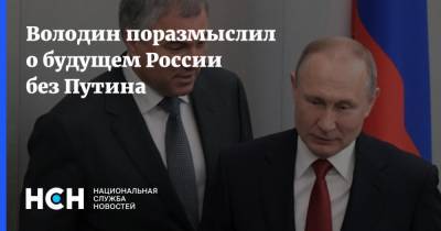 Володин поразмыслил о будущем России без Путина