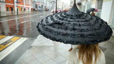 МЧС предупредило о грозе с дождём в Москве
