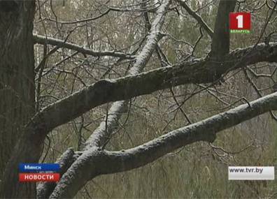 На первый день зимы в Беларуси объявлен оранжевый уровень опасности