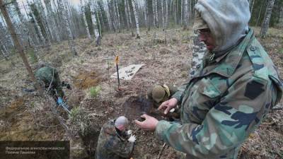 Останки жертв бывшего концлагеря найдены в Псковской области