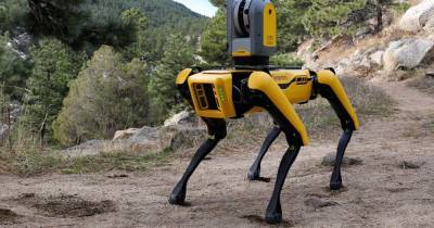 Робот-собака Boston Dynamics поступил в продажу