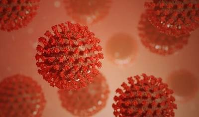 Сибирские ученые установили, что коронавирус мутирует в сторону большей заразности