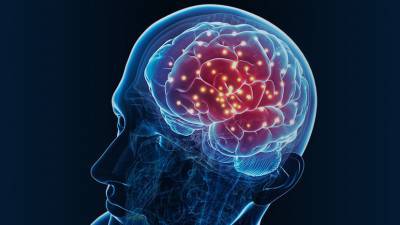 Рекордная яркость: разработан новый светящийся белковый индикатор передачи нервного импульса в головном мозге