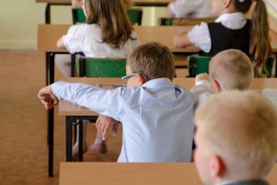 Германия: Министры культуры федеральных земель планируют нормализовать работу школ после каникул