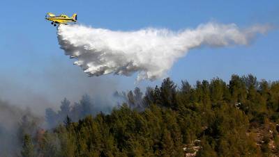 Еще 47 лесных пожаров ликвидировали в России за сутки