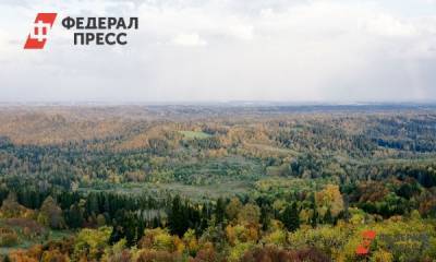 На востоке Красноярского края создадут отраслевые центры развития