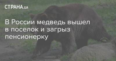 В России медведь вышел в поселок и загрыз пенсионерку